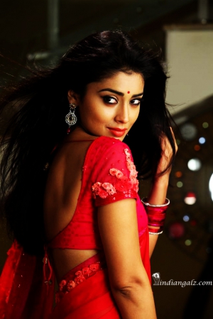 Shriya Saran 21 (2)